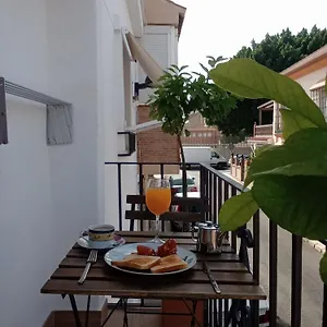 Oasis En La Ciudad Málaga